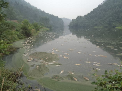 深圳水質(zhì)檢測(cè) 深圳水質(zhì)檢測(cè)