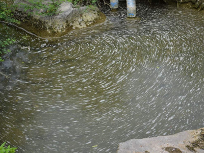 深圳水質(zhì)檢測(cè) 深圳水質(zhì)檢測(cè)