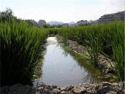 深圳水質(zhì)檢測(cè)機(jī)構(gòu) 深圳水質(zhì)檢測(cè)機(jī)構(gòu)